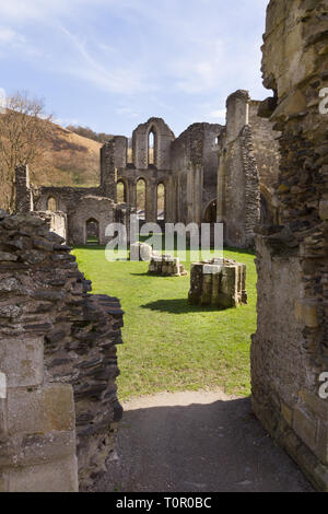 Die Ruinen von Valle Crucis Abbey, das Kirchenschiff. Als Zisterzienserkloster im Jahre 1201 gegründet und 1537 geschlossen. Stockfoto