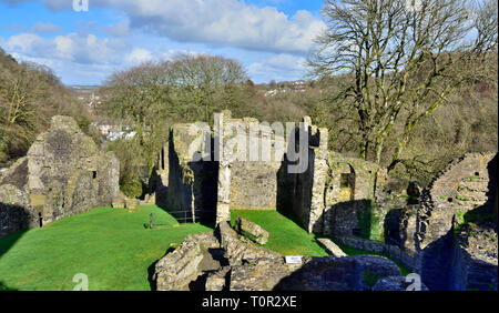 Okehampton Burgruine, Devon, Großbritannien Stockfoto