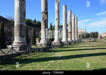 Kolonnaden oder Spalten entlang der Via Sacra römischen Straße, die links den Kapitolinischen Hil, das Forum Romanum und das Kolosseum das antike Rom Italien Stockfoto