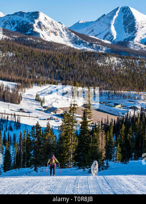 Alpine Touring Skifahrer & pet Golden Retriever Hund an Monarch Mountain Ski & Snowboard Resort enthäuten den Berg hinauf; kontinentales in Colorado Teilen, U Stockfoto