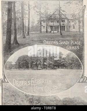 Dreer's Garten Buch 1906 Dreer's Garten Buch: 1906 dreersgardenbook 1906 henr Jahr: 1906 HWADRKR-GRAfi mKllABlf PHIIAKLPHIA^^^ ClOVfR SftDSi Gras Saatgut für Rasen- und Vergnügungspark. Die Formeln für die Marken Dreer Gras Mischungen sind das Ergebnis der sorgfältigen Studien. Das Saatgut verwendet, ausgewählt und wieder gereinigt, frei von Unkraut und Gras. Seedsmen werden manchmal für das Erscheinungsbild der Krabbe, oder Fallen Gras zensiert, in Rasen, aber die Tatsache ist, dass die Sorten in Rasen Mischungen verwendet werden, Stauden, Samen, von denen im Frühsommer geerntet wird, während die Crab Grass eine jährliche ist, reift sein Samen Stockfoto