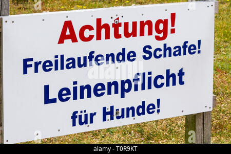 Warnschild "Freilaufende Schafe. Leinenpflicht für Katzen' warnen in deutscher Sprache über das Treffen mit Hunden, die Schafe. List auf Sylt, Schleswig-Holstein, Deutschland. Stockfoto