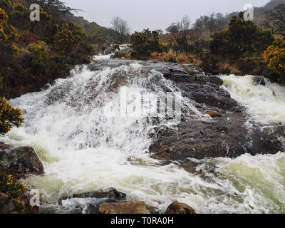 Wasser Kaskadierung über Felsen, durch das Tal der Rot-a-ven Bach, Nationalpark Dartmoor, Devon, Großbritannien Stockfoto