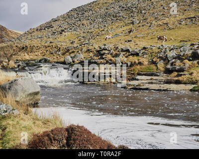 Fluss Tavy Kaskadierung über Felsen durch die tavy Zerspalten, Nationalpark Dartmoor, Devon, Großbritannien Stockfoto