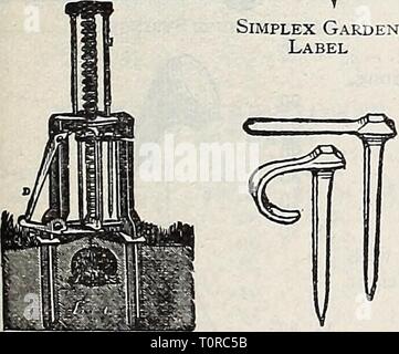 Dreer ist Herbst Katalog (1933) Dreer ist Herbst Katalog 1933 dreersautumncata henr Jahr: 1933^4 reduzierbare Kabel Anlage Schroeter Mole Trap Wand Nägel stehen Stockfoto