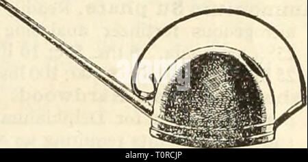 Dreer ist Herbst Katalog von Glühbirnen Dreer ist Herbst Katalog der Glühlampen: Pflanzen, Sträucher, Pflanzen und Samen für Herbst 1934 dreersautumncata henr Jahr: 1934 Muster giesskanne Oval Französisch Französisch Englisch Muster Muster Licht Runde Schwere Runde schwere Ovale4Qt ... - 4 $ 00 - 6 qt ... $ 0 80 4 25 5 $ 00 8 qt ... 85 4 75 5 25 10 qt ... 95 5 25 .5 50 12 qt ... 1 00 5 50 5 75 16 qt ... 1 50 6 00 6 50 Fenster Garten Wasser-ing Can. Von Kupfer mit einem Griff aus Messing. Auslauf ist für nahtlose Kupferrohre. Kapazität Wenn Qt, $ 1,65 Postpaid. Fenster Garten WatL-Ring kann Jät-. Eureka 50 c; Postpaid 60 c; mit 2-Fuß Stockfoto