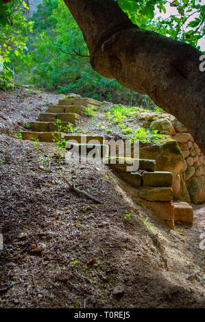 Lithica Entdeckung. Unglaublichen Garten. Menorca. Spanien Stockfoto