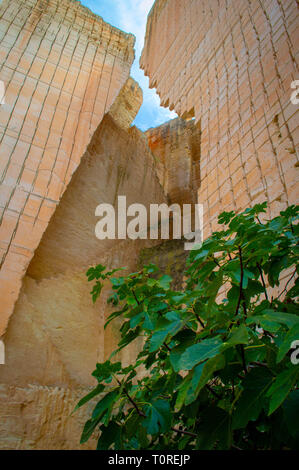 Lithica Entdeckung. Unglaublichen Garten. Menorca. Spanien Stockfoto