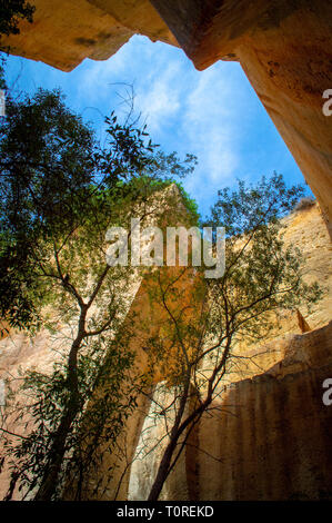 Lithica Entdeckung. Unglaublichen Garten. Menorca. Spanien Stockfoto