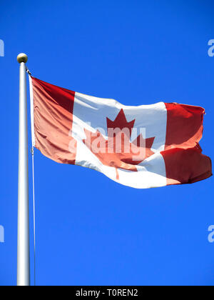La Mauricicie National Park, Quebec, Kanada, Nordamerika Stockfoto