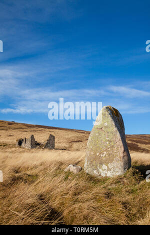 Standing Stone in der Nähe von whiteadder Behälter East Lothian, Schottland, Großbritannien Stockfoto