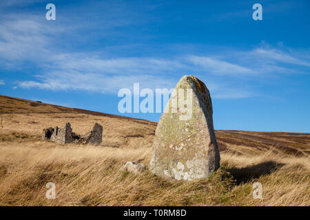 Standing Stone in der Nähe von whiteadder Behälter East Lothian, Schottland, Großbritannien Stockfoto