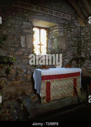 St Beuno's Kirche, Pistyll, Lleyn, North Wales, UK, eingerichtet für Lammastide mit Brote & Kräuter, Früchte & Laub vom Kirchplatz usw. gesammelt Stockfoto