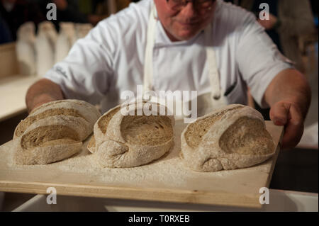 Der Bäcker das Brot Hefe. Natürliche Fermentation. Selektive konzentrieren. Stockfoto