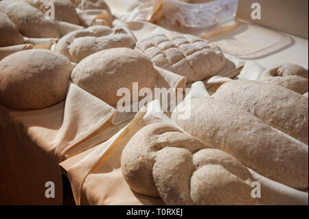 Sauerteigführung. Andere Art von Brotteig auf einem Tisch, fertig gebacken werden. Stockfoto