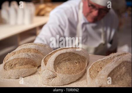 Der Bäcker das Brot Hefe. Natürliche Fermentation. Selektive konzentrieren. Stockfoto