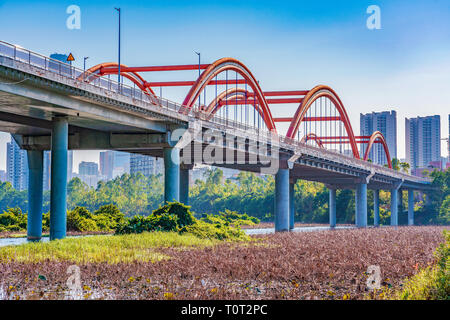 Honghu Park Rainbow Bridge in Shenzhen, China Stockfoto