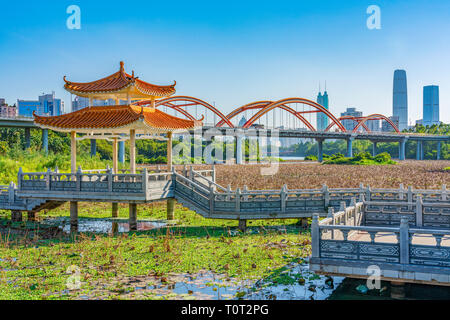 Lotus Lake an Honghu Park in Shenzhen. Stockfoto