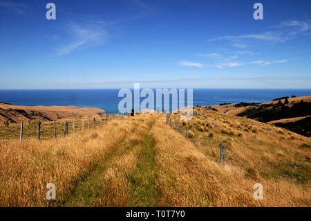 Der Weg nach unten zum Te Oka Bucht an den Ufern der Halbinsel auf der Südinsel Neuseeland, in der Nähe von Christchurch. Stockfoto