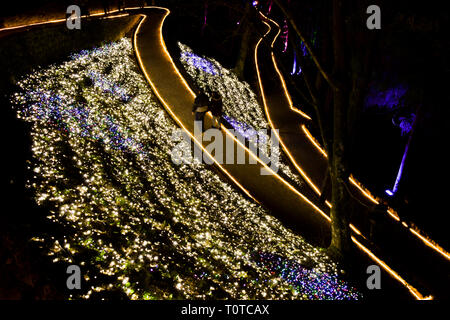 Zagreb, Kroatien - 21. März 2019: Paar zu Fuß durch beleuchteten Park in Zagreb, Kroatien während der Festival der Lichter Stockfoto