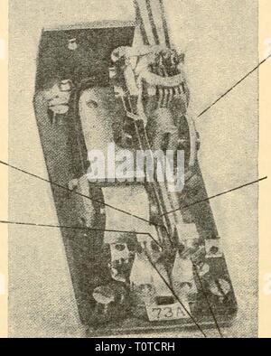 Elektronische Geräte für die biologische Forschung elektronische Geräte für die biologische Forschung electronicappara 00 dona Jahr: 1958 Öffner Schließer-Einstellknopf Anker Schrauben Abbildung 34.9 Siemens Relais schnelle Geschwindigkeit Stockfoto