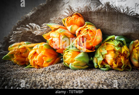 Schöne orange Tulpen mit einem leinen Servietten Stockfoto