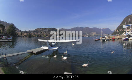 Schwäne schwimmen in der Marina zwischen Segelbooten und Wasserflugzeuge, Comer See - Italien Stockfoto