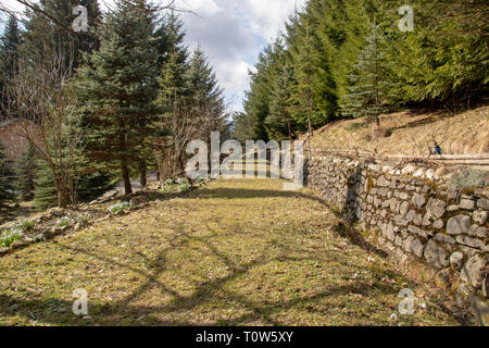 Mountain Side Park Alley an einem sonnigen Tag Stockfoto