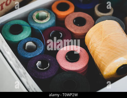 Nahaufnahme von Faden Baumwolle Spulen in Feld, selektive konzentrieren. Stockfoto