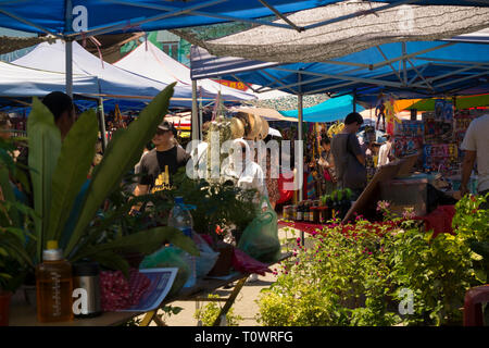 Bummel durch die berühmten Sonntagsmarkt entlang Gaya Street in Kota Kinabalu, Sabah, Borneo, Malaysia. Stockfoto