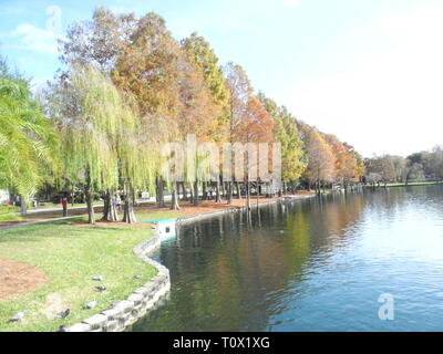 Atemberaubende Natur mitten im Park in Orlando, Florida Stockfoto