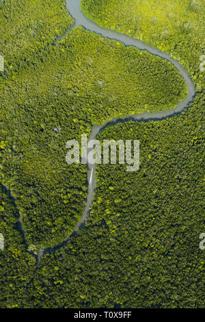 Ansicht von oben, beeindruckende Luftaufnahme eines traditionellen Long tail Boot, Segel auf einer Serpentine River durch einen grünen tropischen Wald fließt. Stockfoto
