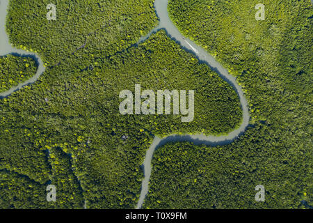 Ansicht von oben, beeindruckende Luftaufnahme eines traditionellen Long tail Boot, Segel auf einer Serpentine River durch einen grünen tropischen Wald fließt. Stockfoto