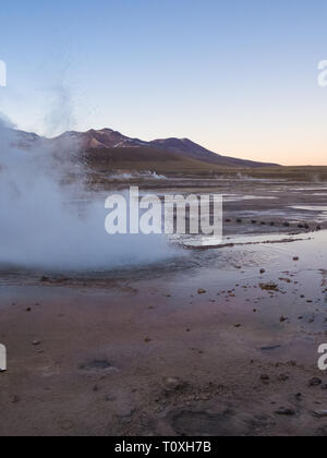 Atacama Tatio Geysire (Del) Dampf in den frühen Morgenstunden Stockfoto