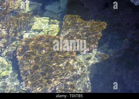 Boden mit Steinen Sonnenlicht closeup transparentes Wasser, Mallorca, Balearen, Spanien. Stockfoto