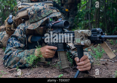 Ein US-Marine mit Echo Unternehmen, 2.BATAILLON, 3. Marine Regiment, bietet Sicherheit bei einem Dschungel Schulungsveranstaltung an der US-Armee Kahuku, Jan. 20, 2019. Echo durchgeführt, verschiedene Schulungen, wie z. B. der Aufbau einer Patrouille base Dschungel Patrouillen durchzuführen, und Aerial reconnaissance nutzen kleine unbemannte Systeme und Hubschrauber. Dieser Dschungel themed Fall Teil der Schulungsveranstaltung des Bataillon war, Übung Bougainville ICH, eine jährliche Übung, dass Pre stärkt - bereitstellungsbereitschaft. (U.S. Marine Corps Foto von Sgt. Jesus Sepulveda Torres) Stockfoto