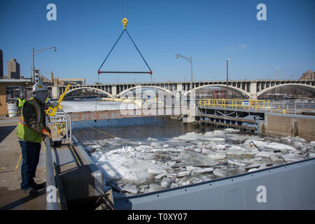 Schotte am oberen St. Anthony Falls Sperre entfernt - die letzte Hürde in $ 3 Millionen Upgrade: ein Unternehmer Besatzungen Aufzüge stahl Schotte auf der vorderen Seite des St. Anthony Falls Lock am 20. März eine heikle Manöver im Vorfeld der zu erwartenden hohen Flows, die sich aus der Schneedecke abgeschlossen im Mississippi Oberläufe schmelzen. Für fast zwei Wochen Mitarbeiter und Personal von der Wartung und Reparatur Abschnitt brachen die Dämme des Eis, das unterhalb der Schotte angesammelt hatte, um sicherzustellen, dass die Mitra Tore und tainter Gate funktionsfähig waren und die Schotten würden nicht während ihrer Ausbau mittels eines Cr-Stick Stockfoto