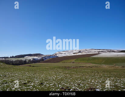 Die Angus Glens in der Nähe von fettercairn in Angus, mit einem Abstauben des Schnees nach der vorherigen Nacht an einem strahlenden Frühlingstag im März fallen. Schottland. Stockfoto