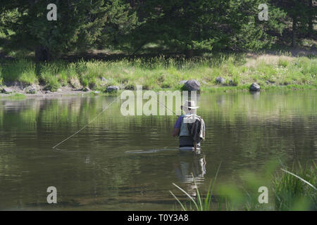 Fischer Fliegenfischen im Fluss der Montana State Stockfoto