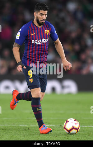 SEVILLA, 17-03-2019. Primera Division Liga. LaLiga. Estadio Benito Villamarin. Luis Suárez (FC Barcelona) während des Spiels Real Betis - FC Barcelona. Stockfoto