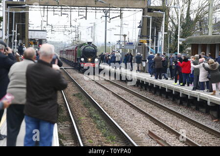 Rainham, UK. 23. März, 2019. Mayflower, die durch die Essex Land Seite und stoppt an Rainham Essex station. Die 61306 Mayflower ist einer von zwei Überlebenden B1 Klasse Lokomotiven gebaut wurde, für die London and North Eastern Railway, 61306 Mayflower ist einer von zwei Überlebenden B1 Klasse Lokomotiven. Die B1 wurden als gemischter Verkehr Lokomotiven in der Lage schleppen express Personenzüge sowie Güterverkehr konzipiert. Als leistungsfähige, klicken Sie an einer beliebigen Stelle Motoren, die B 1 Die meisten der britischen Eisenbahnnetz gegenüber von East Anglia nach Schottland gearbeitet. Credit: Aktion Foto Sport/Alamy leben Nachrichten Stockfoto