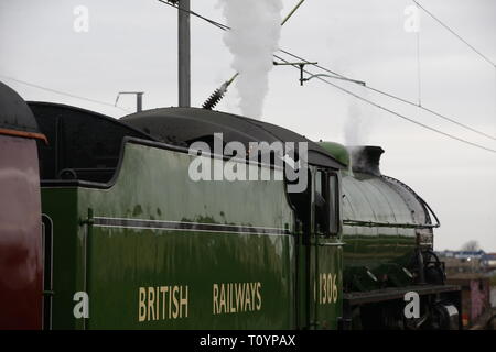 Rainham, UK. 23. März, 2019. Mayflower, die durch die Essex Land Seite und stoppt an Rainham Essex station. Die 61306 Mayflower ist einer von zwei Überlebenden B1 Klasse Lokomotiven gebaut wurde, für die London and North Eastern Railway, 61306 Mayflower ist einer von zwei Überlebenden B1 Klasse Lokomotiven. Die B1 wurden als gemischter Verkehr Lokomotiven in der Lage schleppen express Personenzüge sowie Güterverkehr konzipiert. Als leistungsfähige, klicken Sie an einer beliebigen Stelle Motoren, die B 1 Die meisten der britischen Eisenbahnnetz gegenüber von East Anglia nach Schottland gearbeitet. Credit: Aktion Foto Sport/Alamy leben Nachrichten Stockfoto