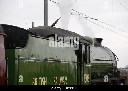 Rainham, UK. 23. März, 2019. Mayflower, die durch die Essex Land Seite und stoppt an Rainham Essex station. Die 61306 Mayflower ist einer von zwei Überlebenden B1 Klasse Lokomotiven gebaut wurde, für die London and North Eastern Railway, 61306 Mayflower ist einer von zwei Überlebenden B1 Klasse Lokomotiven. Die B1 wurden als gemischter Verkehr Lokomotiven in der Lage schleppen express Personenzüge sowie Güterverkehr konzipiert. Als leistungsfähige, klicken Sie an einer beliebigen Stelle Motoren, die B 1 Die meisten der britischen Eisenbahnnetz gegenüber von East Anglia nach Schottland gearbeitet. Credit: Aktion Foto Sport/Alamy leben Nachrichten Stockfoto