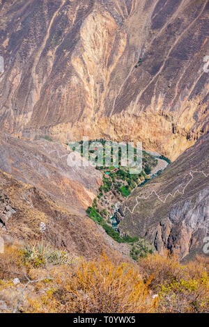 Luftaufnahme zu malerischen Oase Sangalle im Colca Canyon, Peru Stockfoto