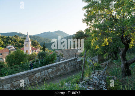 Blick über Stadt, Lastovo Lastovo Kroatien Stockfoto
