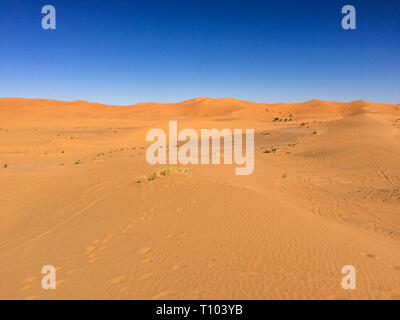 Die großen Sanddünen des Erg Chebbi, Marokko, bieten einen atemberaubenden Anblick der Wellen und Formen und Ändern von Gold, rot und orange Farben während der Dämmerung und sunse Stockfoto