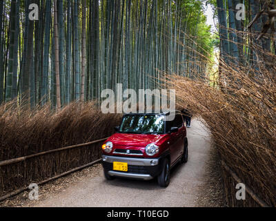 Japan Arashiyama Bamboo Grove - ein kleines Auto fährt durch den Arashiyama Bamboo Forest in der Nähe von Kyoto Japan Stockfoto