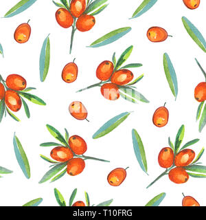 Sanddorn Zweig mit reife Beeren, Beeren und Blätter, nahtlose Muster, Handgemalten Aquarell Abbildung, weißer Hintergrund Stockfoto