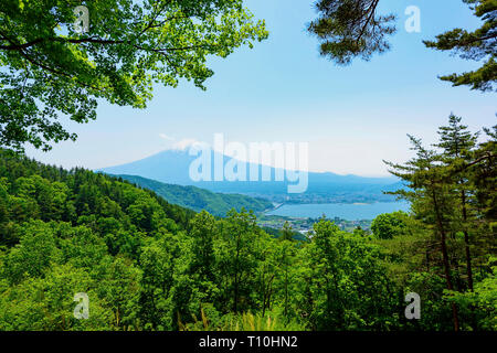 Frisches Grün und Mt. Fuji in Japan Stockfoto