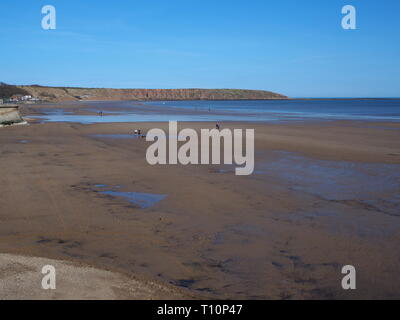 Blick über Cestas Cestas Brigg Strand bei Ebbe, North Yorkshire, England Stockfoto